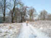 IM000137.JPG (790378 bytes)