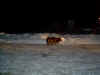 IM000164.JPG (797043 bytes)